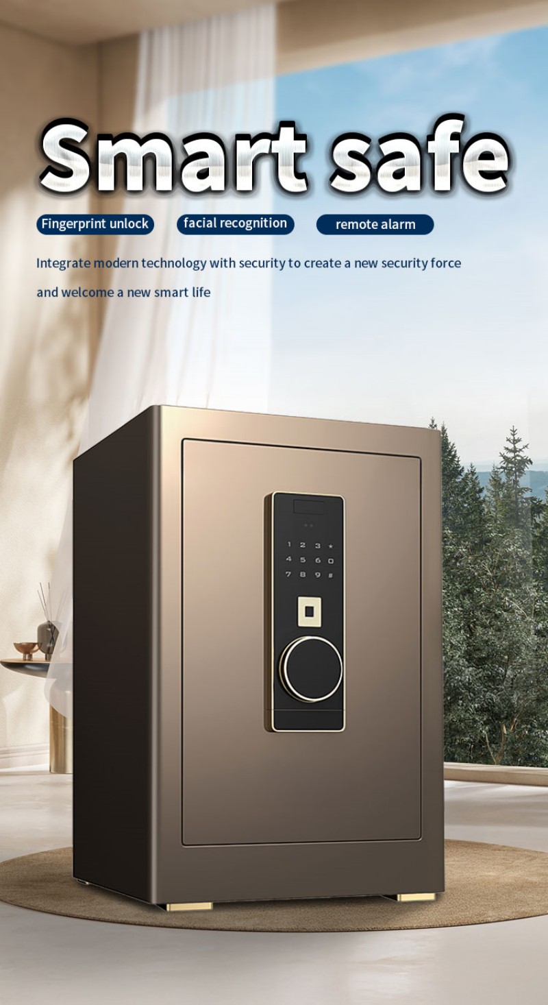 Jewelry Safes Jewelry Safes